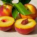 Mangiare pesche: il vero segreto per una pelle splendida?