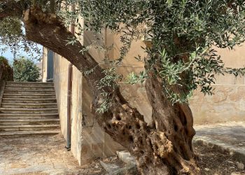 Modica, pulizia e scerbatura all’ex scuola Milano-Palermo
