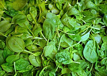 Dieta per glicemia alta: cosa mangiare