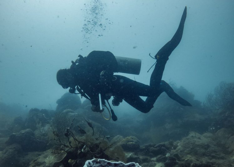 Tre nuovi vulcani sottomarini e relitto nave scoperti nel Canale di Sicilia