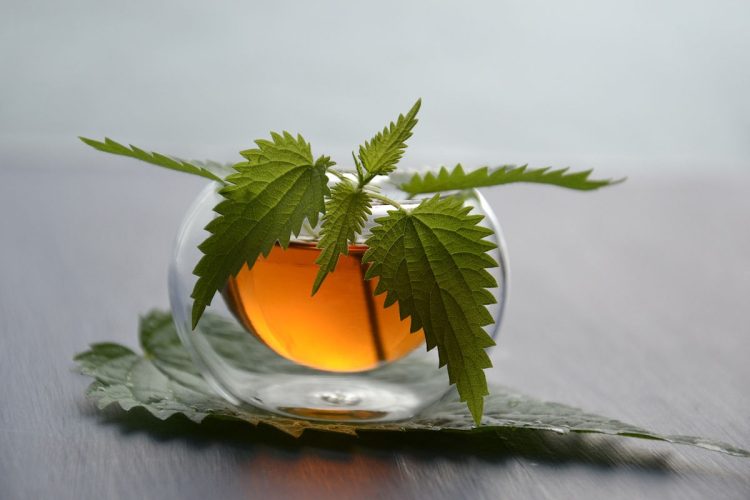 Tisane diuretiche: ricette