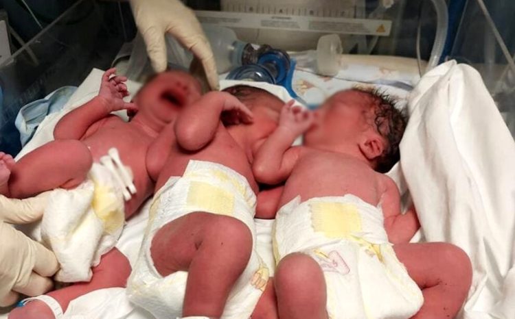 Tre gemelli per una coppia di Scicli: nati a Ragusa