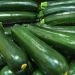 Mangiare zucchine fa ingrassare? Scopri la verità