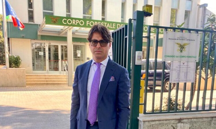 Da Palermo 500 mila euro per 7 torrette di avvistamento incendi nel Siracusano