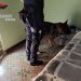 Pozzallo, 24enne arrestato per spaccio di droga
