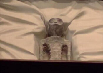 “Ecco due corpi di alieni”, esperto Ufo porta ET in Parlamento