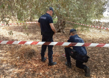 Modica, ritrovato ordigno bellico della Seconda Guerra mondiale