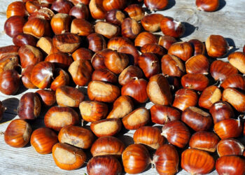 Mangiare castagne fa ingrassare? Scopri la verità