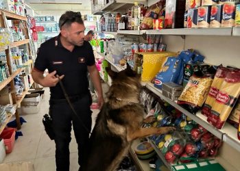 Carabinieri Ragusa: minimarket della droga a Punta Braccetto