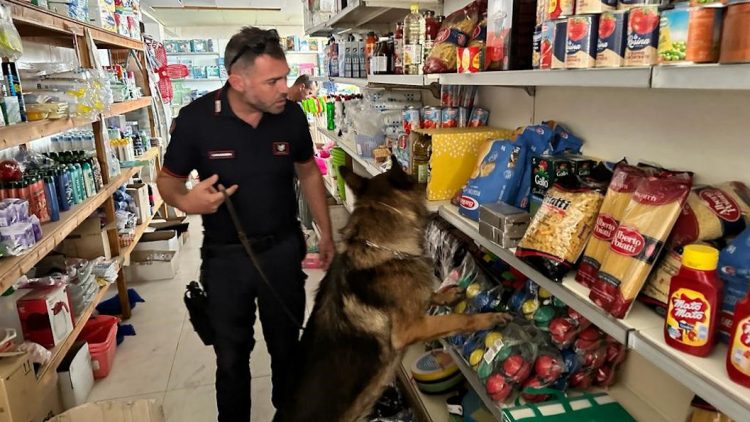Carabinieri Ragusa: minimarket della droga a Punta Braccetto