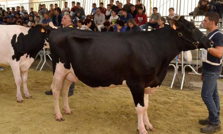 FAM Ragusa 2023: torna al Foro Boario