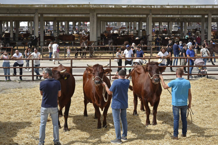 Fam a Ragusa dal 29 settembre al 1 ottobre