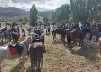 A Gangi 80 tra cavalieri e amazzoni