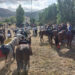 A Gangi 80 tra cavalieri e amazzoni