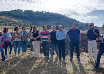 Giardino con 200 alberi di frutti antichi a Gangi