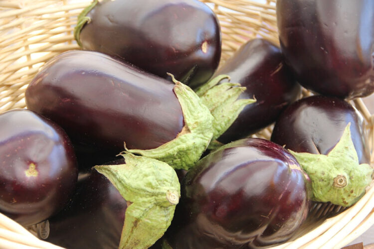 Dieta della melanzana: cosa mangiare