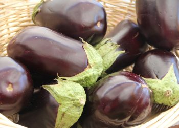 Mangiare melanzane fa bene alla salute? Proprietà e benefici