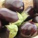 Mangiare melanzane fa bene alla salute? Proprietà e benefici