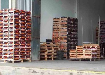 Perso finanziamento Pnrr per il Mercato Ortofrutticolo di Vittoria: il Tar rigetta l'istanza del Comune