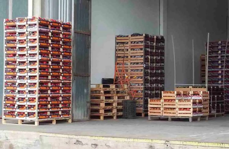 Perso finanziamento Pnrr per il Mercato Ortofrutticolo di Vittoria: il Tar rigetta l'istanza del Comune