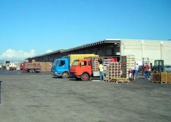 Ordinanza sul Mercato Ortofrutticolo il Sindaco Aiello: “Difendiamo la legalità e la trasparenza”