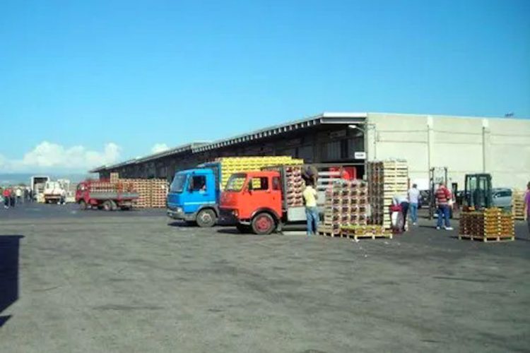 Fratelli d’Italia: “Persi finanziamenti Pnrr per il Mercato di Vittoria: amministrazione Aiello sciagura per la città”