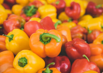 I cibi che favoriscono la crescita dei capelli