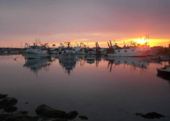 Porto di Scoglitti, il movimento "Punto a Capo": Insabbiamento mette a rischio la sicurezza dei pescatori e ancora si attende la draga