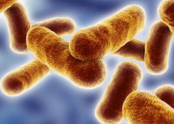 Sepsi, un morto ogni 2,8 secondi. Casi in aumento anche in Italia