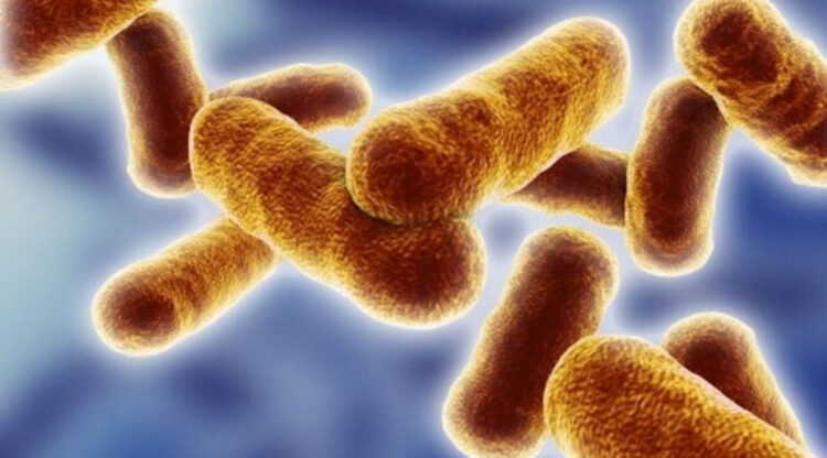 Sepsi, un morto ogni 2,8 secondi. Casi in aumento anche in Italia