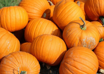 Zucca, ricette d'autunno