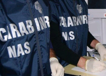 Pesce in cattive condizioni e carenza di condizioni igieniche, i controlli dei Nas di Ragusa