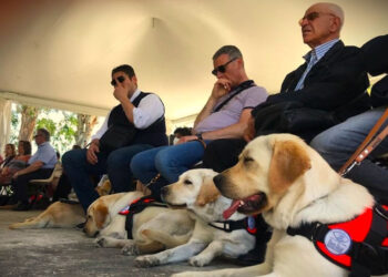 Uici, Giornata del cane guida a Catania