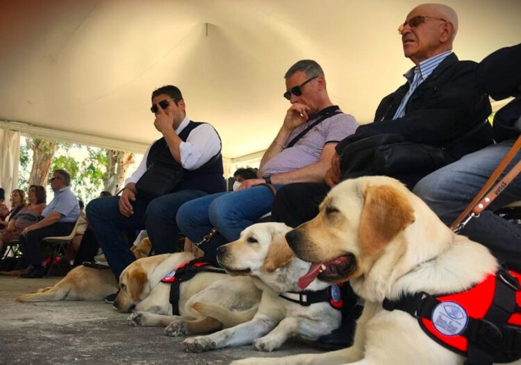 Uici, Giornata del cane guida a Catania