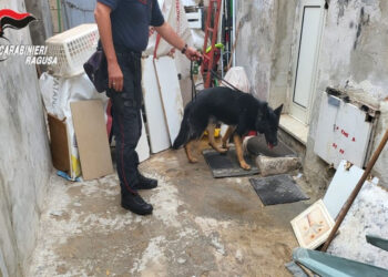 Due ispicesi denunciati per spaccio di droga