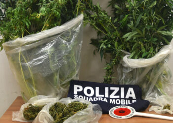 Ragusa, 4 kg di marijuana in casa: un arresto