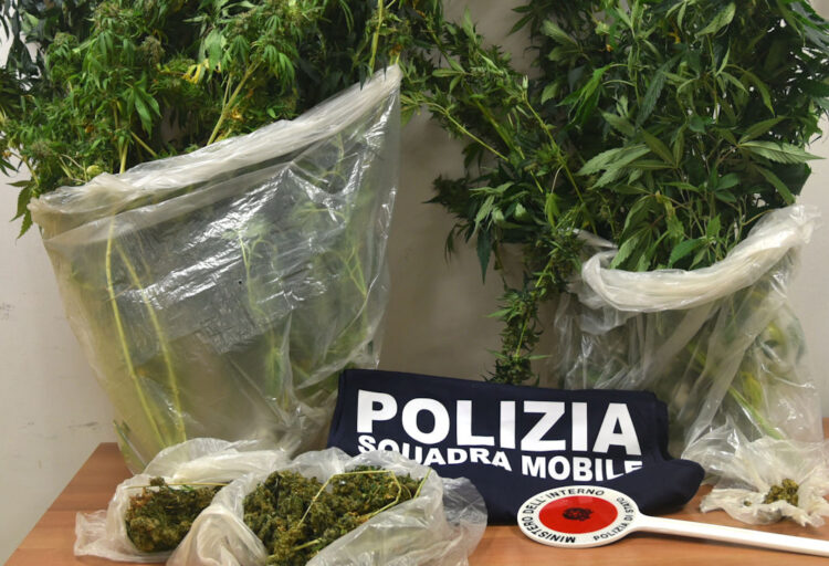 Ragusa, 4 kg di marijuana in casa: un arresto