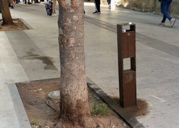 Degrado a Vittoria: una lettiera per cani davanti alla scuola