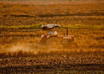 Sfruttamento sul lavoro a Vittoria: denunciati 2 imprenditori agricoli