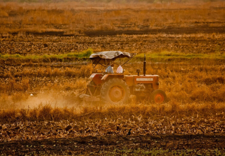 Sfruttamento sul lavoro a Vittoria: denunciati 2 imprenditori agricoli