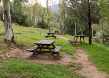 Ragusa, accordo tra Scout e Azienda Forestale per la fruizione di aree boschive