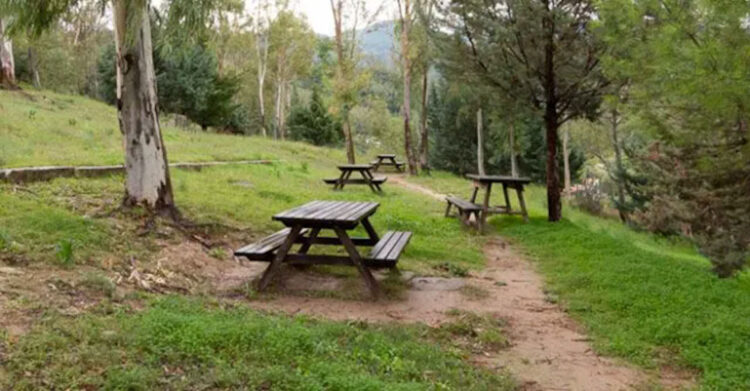 Ragusa, accordo tra Scout e Azienda Forestale per la fruizione di aree boschive