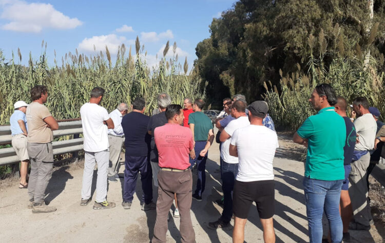 Vittoria, incontro alla Riserva del Pino d'Aleppo per criticità Parco