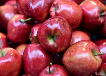 Dieta della mela per dimagrire 5 kg: menù