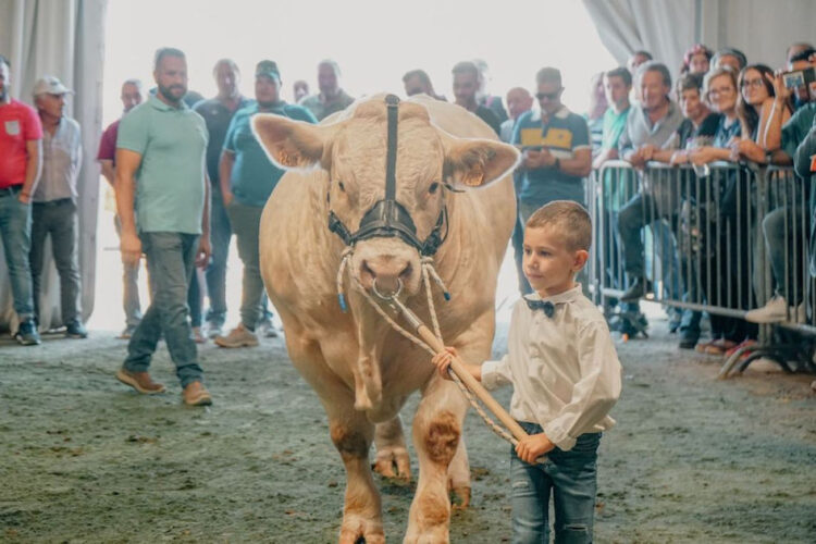 Record di presenze per la Fam Ragusa 2023