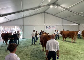 La FAM Ragusa, 3 giorni sulla zootecnia