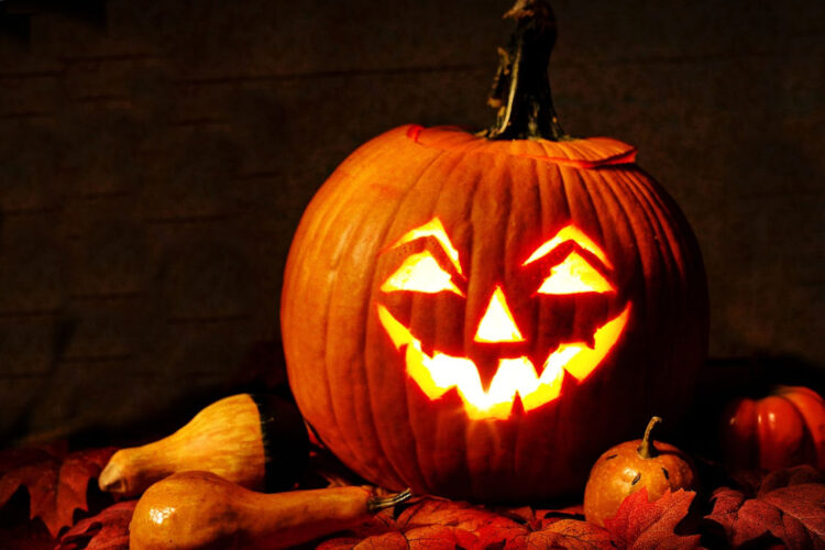 Come fare la zucca di Halloween: ecco cosa serve