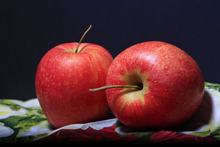 Dieta dei 5 giorni: menù