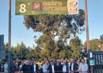 Oggi la prima Sagra del cinghiale a Gangi