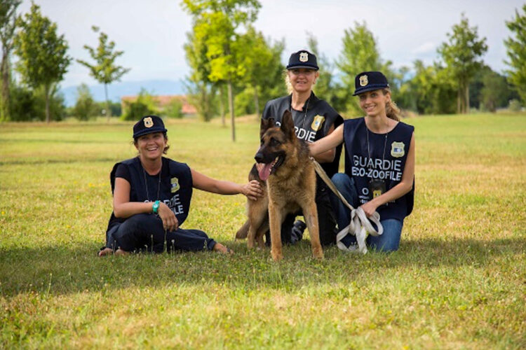 Sicilia, corso gratuito per diventare guardia zoofila: ecco come iscriversi